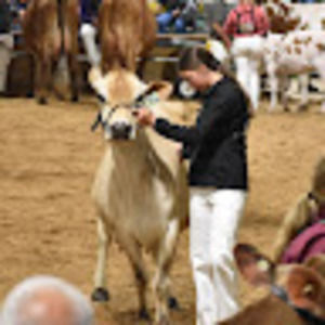 Meet your Posher, Mallory